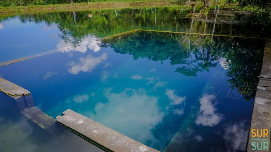 <b class="font-bara"><i class="bi bi-geo-fill h4"></i> BOTONG COLD SPRING</b> <br/>This cold spring located at Brgy. Lindoy is very relaxing, howbeit, there’s only a tiny man-made portion good for swimming readily available at the moment. Put your feet in the blue waters and there comes the fish to eat your dead skin.